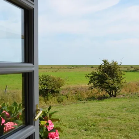 Litzkow 15704 Morsum (Sylt)
